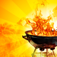 Illustration for article titled Will You Be Barbecuing with Charcoal or Gas on the 4th of July?